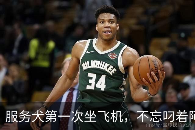 服务犬第一次坐飞机，不忘叼着阿布布，全程乖巧像小玩偶